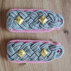PAIRE DE PATTES D ÉPAULE DE COLONEL DES TROUPES BLINDÉES