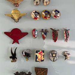 Lot insignes Para, commando marine, etc