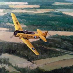 Un tableau ; Huile sur bois de chêne représentant l' avion " NORTH AMERICAN " TG texan de 1935