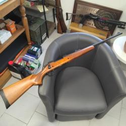 Remington 700 Cal 300 WM