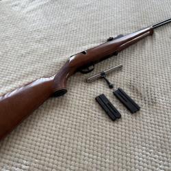 Carabine 22lr  Gazelle + 2 chargeurs