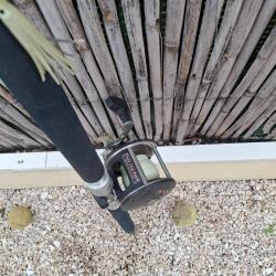 Vend canne + moulinet pêche aux gros