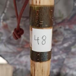 canne de pirsch (49)