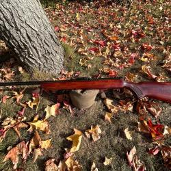 TOZ-8-01