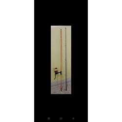 Moulinet neuf assorti +lancer offert manche en bambou, reconditionné et 100% fonctionnel