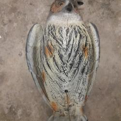 Appelant Grand Duc ailes battantes