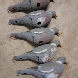 Forme de pigeon ramier