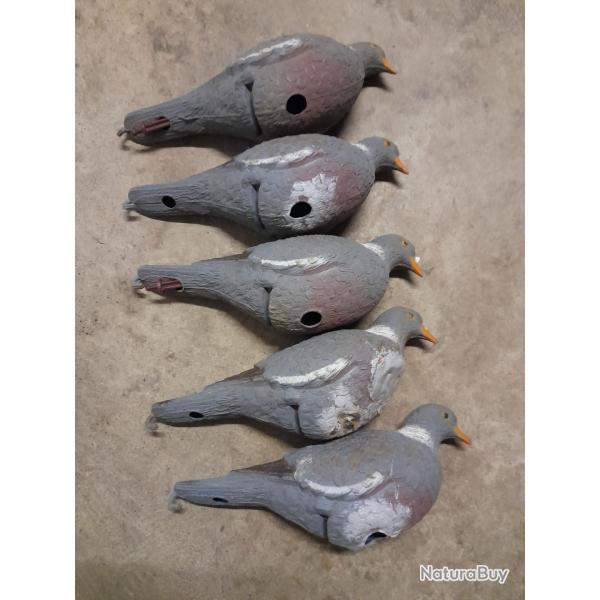 Forme de pigeon ramier
