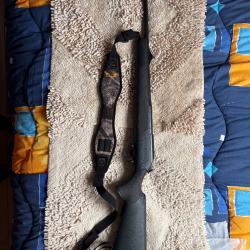 Blaser profesional 30.06