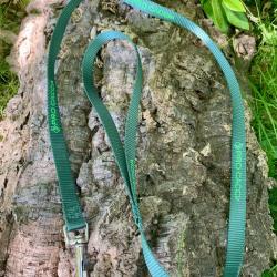 Laisse fine PRO CACCIA en nylon vert