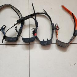 Collier sport dog tek 2 + accessoire