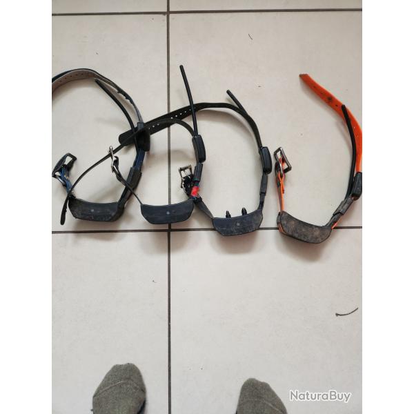 Collier sport dog tek 2 + accessoire