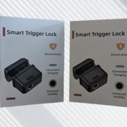 Vente flash ! 2x Verrou de pontet biométrique ! inclus 2 clés de secours