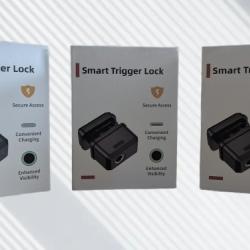 3x Verrou de pontet biom&eacute;trique ! inclus 2 cl&eacute;s de secours