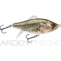 Poisson nageur BIWAA Raffal 150 40 Pike