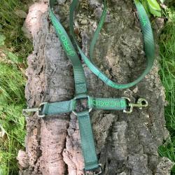 Laisse triple PRO CACCIA en nylon vert
