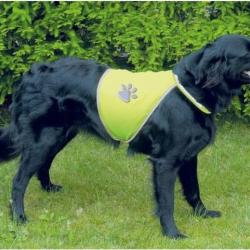 Chasuble de sécurité pour chien