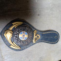 Pucelle Insigne 4 e RIC. Régiment Infanterie Coloniale Algérie