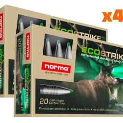 BF* Balles Norma Ecostrike 30-06 Spring. 150gr x40