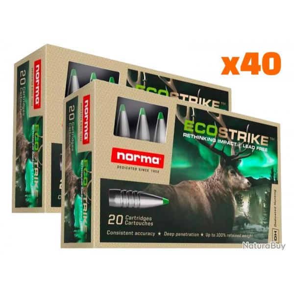 BF* Balles Norma Ecostrike 30-06 Spring. 150gr x40