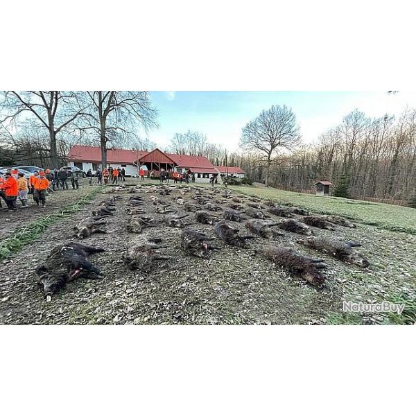 Battue en Hongrie