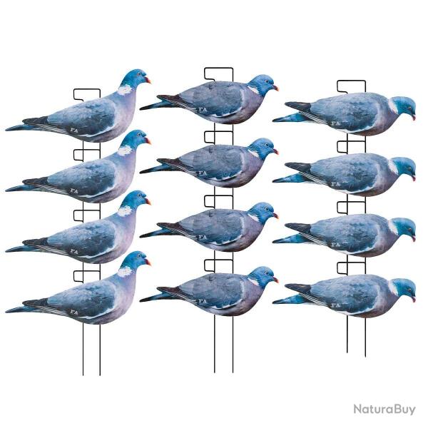 Formes silhouette pigeon ramier Final Approach x12