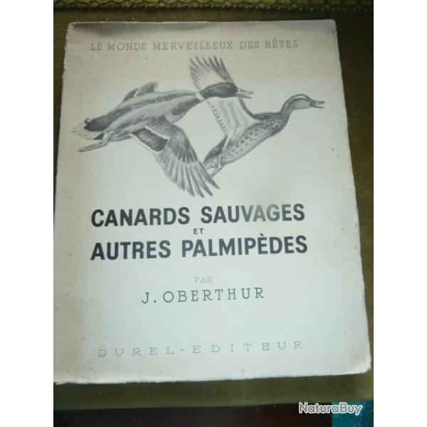 CANARDS SAUVAGES ET AUTRES MALMIPEDES