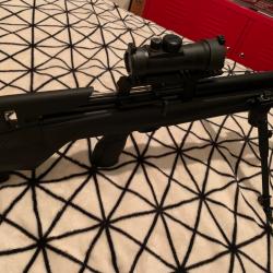 Carabine Stoeger-Airguns 6.35 . 52 joules+ bipieds , point rouge Diana état neuf