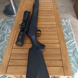 Carabine à air comprimé diana panther 31