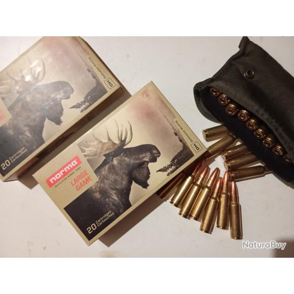 Munitions Norma oryx 8,5x55 Blaser
