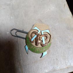 Insigne tirailleurs algériens , 7 RTA.