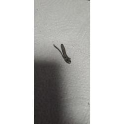 Doigt élévateur Révolver 22 lr Schmidt Ostheim Rhoen