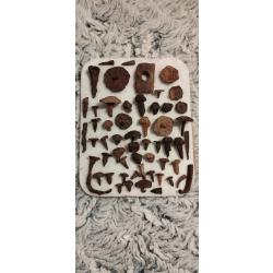 Outils ancien clous lot antiquité vintage