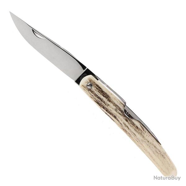 Cornillon Bieslois 10 cm - Mongin