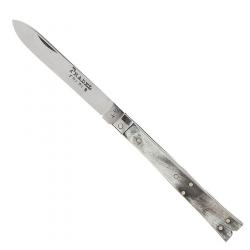 Queue de Poisson - Pradel au Bidon