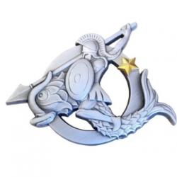 Brevet amphibie élémentaire