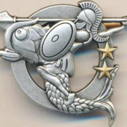 Brevet amphibie spécialiste