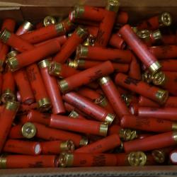 248 Cartouches Mary Arm calibre 14mm