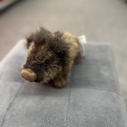 PELUCHE SANGLIER S