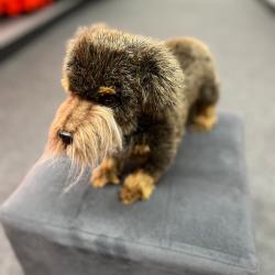 PELUCHE TECKEL