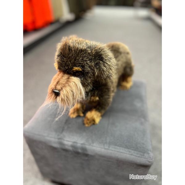 PELUCHE TECKEL