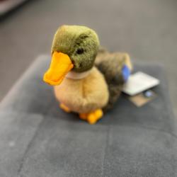 PELUCHE CANARD