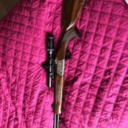 Express B 26 30r Blaser