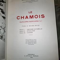 Le chamois Marcel Couturier