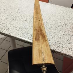 Véritable rostre d'espadon