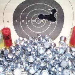 Nouveau !!! Slug diabolo cal 16 ,les 200 unités ..