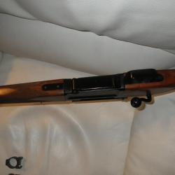 carabine de chasse mas 51 sterna