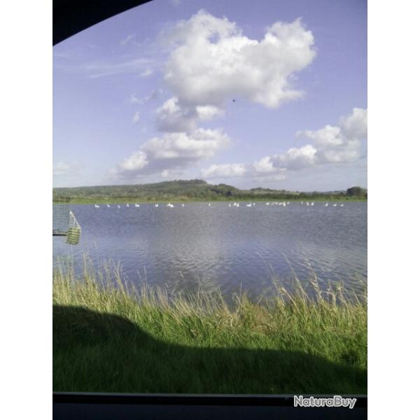 Gabion  Varaville (14 Calvados)