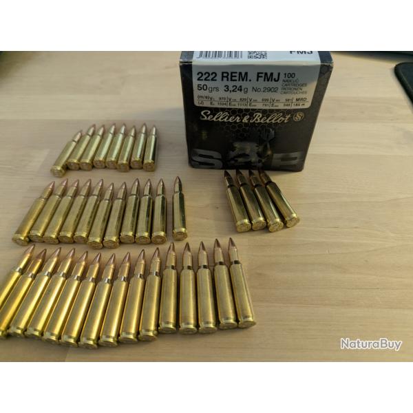 Munitions 222 Rem (138 cartouches)