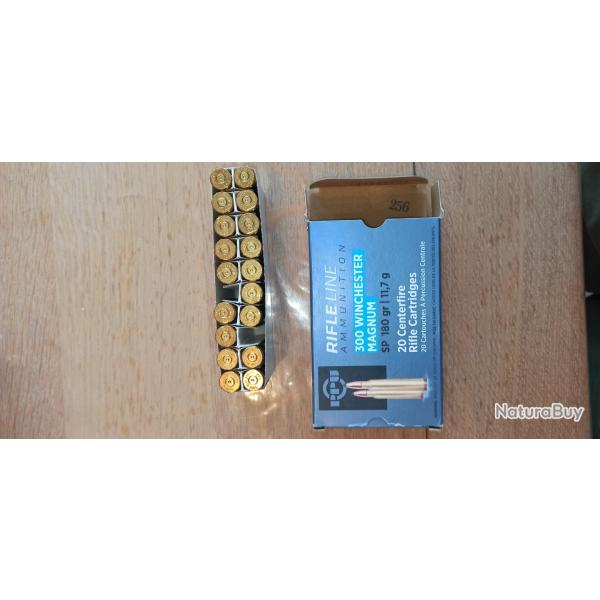 Lot de 20 tuis de 300 winchester magnum